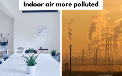 Indoor Air More Polluted than Outdoor Air