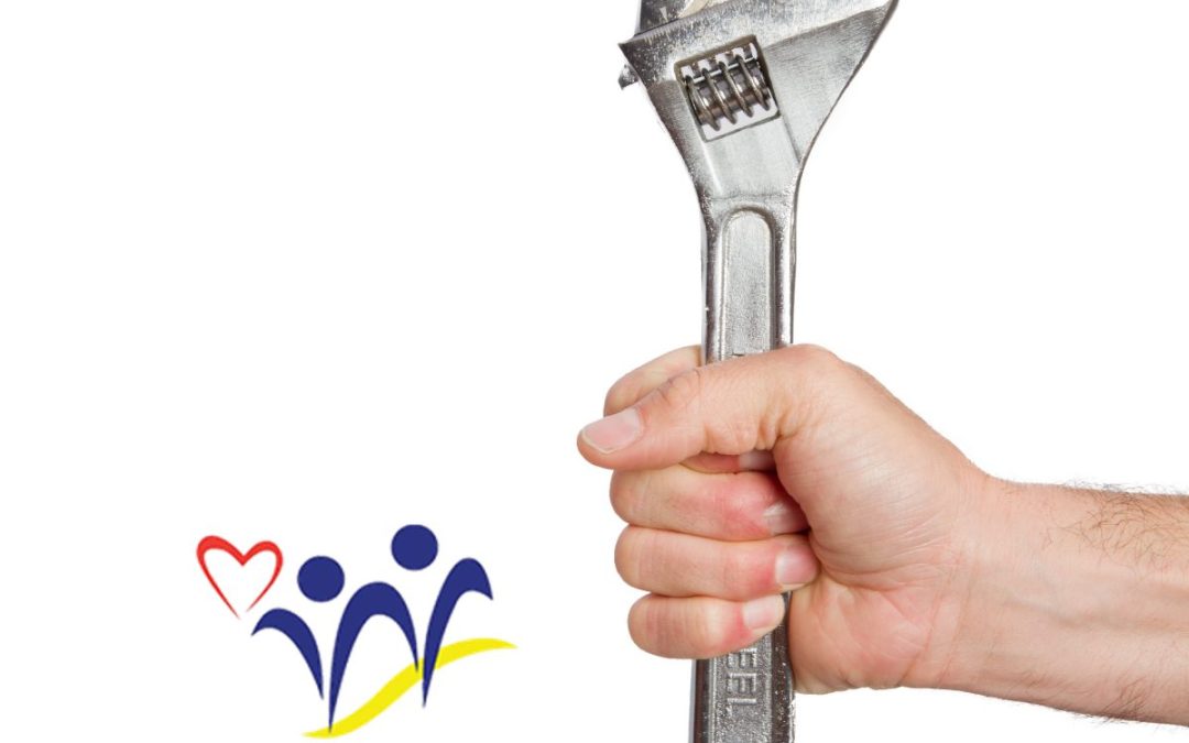 THE PLUMBER AND THE MECHANIC